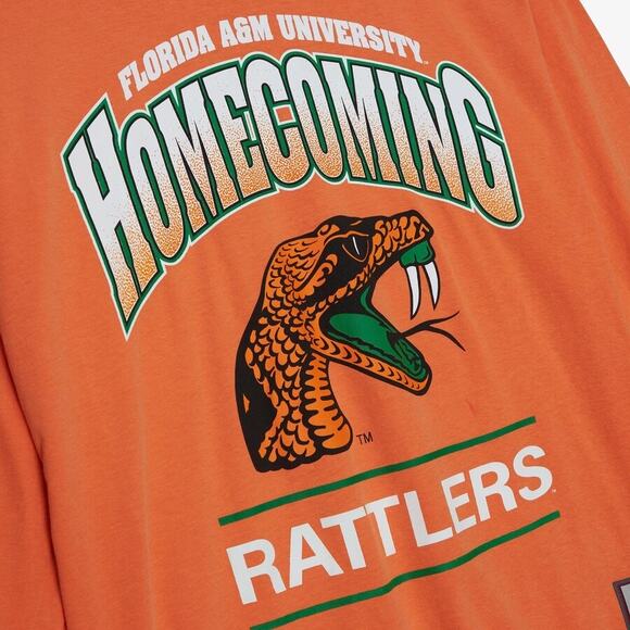 NWT! Mitchell & Ness Florida A&M FAMU Rattlers Homecoming Arch LS - Size L - Picture 3 of 8